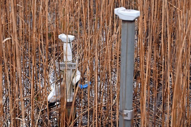 Das Grundwasser in dem Bereich wird weiterhin berwacht (Symbolbild).  | Foto: Thomas Kunz