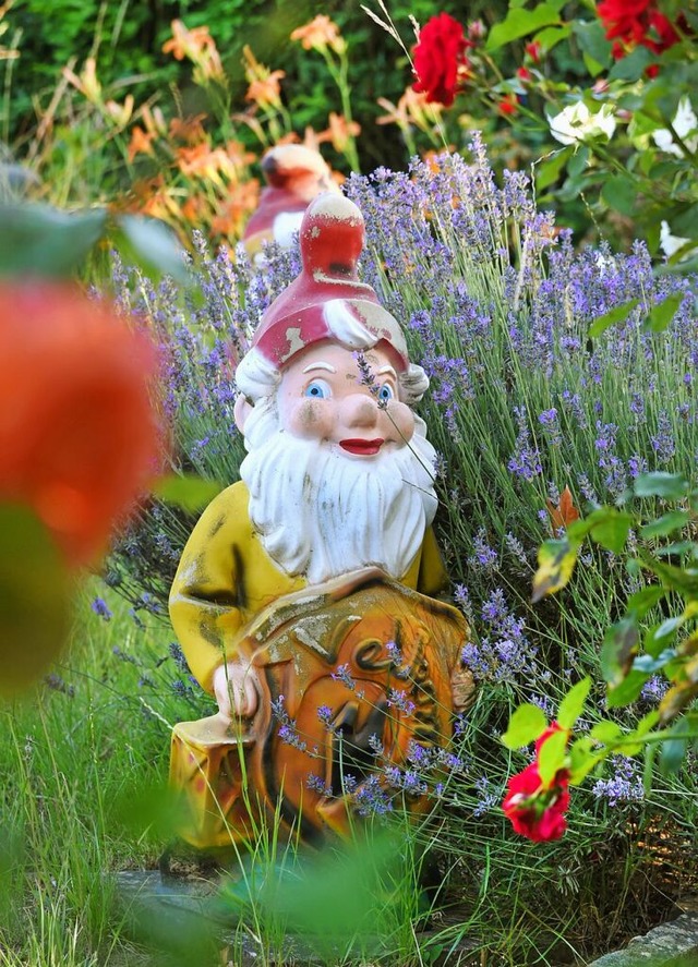 Die Zwerge wurden direkt aus dem Garten entfhrt.  | Foto: Waltraud Grubitzsch (dpa)