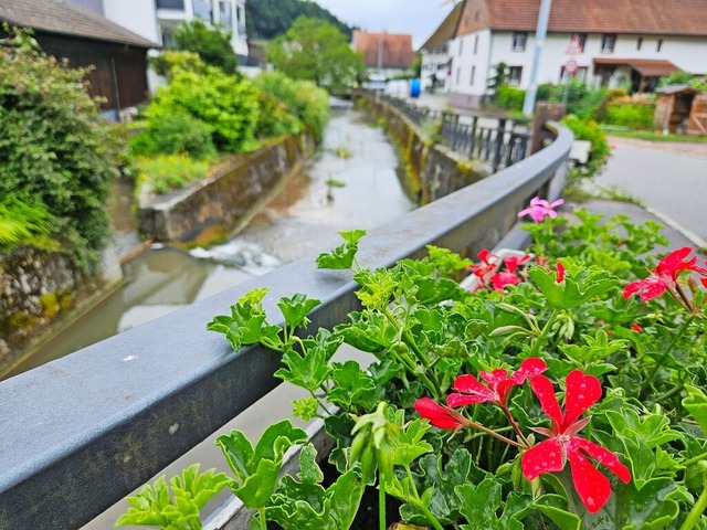 Degerfelden wurde in der vergangenen W...es Hagenbacher Baches wieder gesunken.  | Foto: Erika Bader