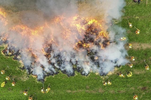 Feuerwehren ben einen Waldbrand zu bekmpfen
