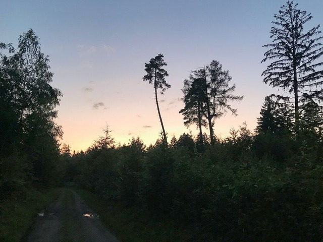 Ein Blick zurck auf dem Weg nach Osten: Sonnenuntergang ber dem Wald bei Wehr.  | Foto: Boris Burkhardt