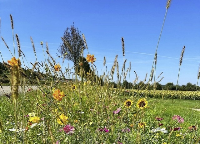   | Foto: Gemeinde Hohberg