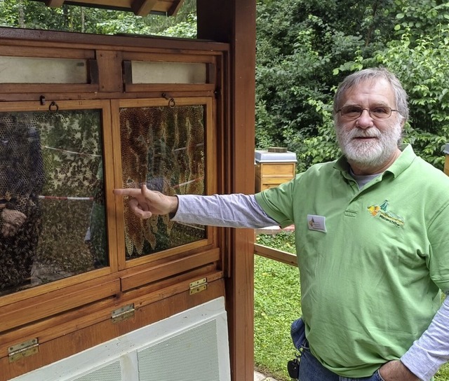 Alexander Kpfer erklrte interessiert...von Schautafeln das Leben der Bienen.   | Foto: Reinhard Herbrig