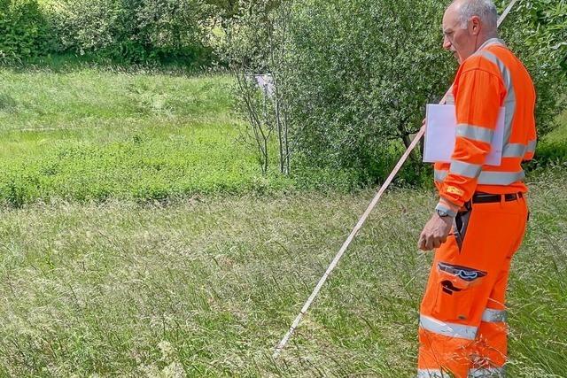 Im Skulpturenpark in Grafenhausen sind acht Knstler bei ihrer Arbeit zu beobachten