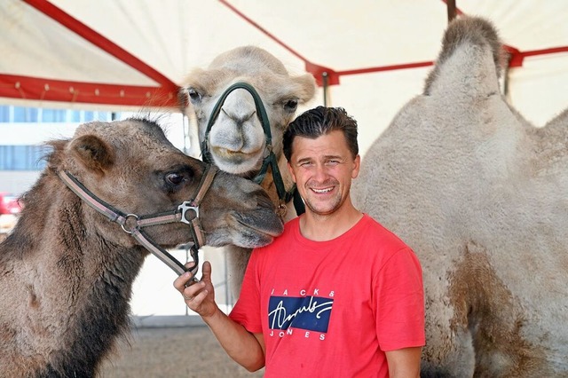 Zirkusdirektor Rudolf Rocky Renz mit zwei Kamelen  | Foto: Thomas Kunz