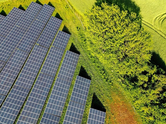 Eine Photovoltaikanlage auf freiem Feld (Symbolbild)  | Foto: stock.adobe.com