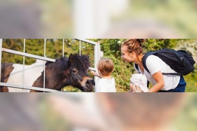 Hier knnen Kinder Tiere streicheln