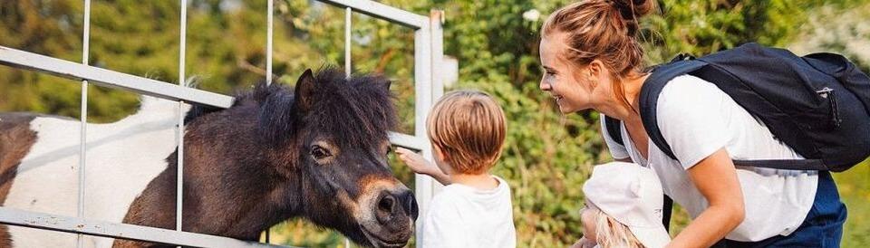 Hier knnen Kinder Tiere streicheln