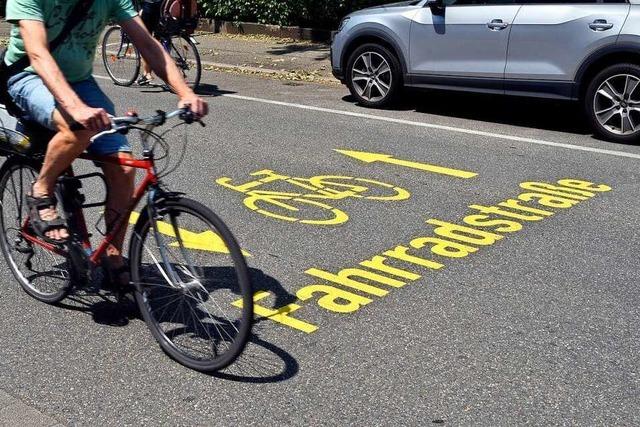 55 Mal um die Welt: Freiburger radeln beim Stadtradeln so viel wie noch nie