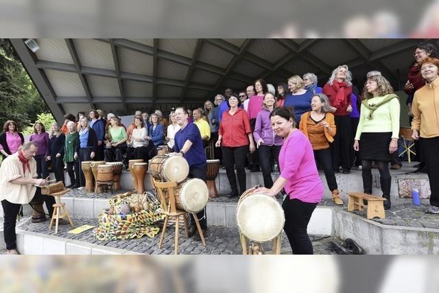 Das Buschorchester bringt afrikanische Rhythmen in den Seepark