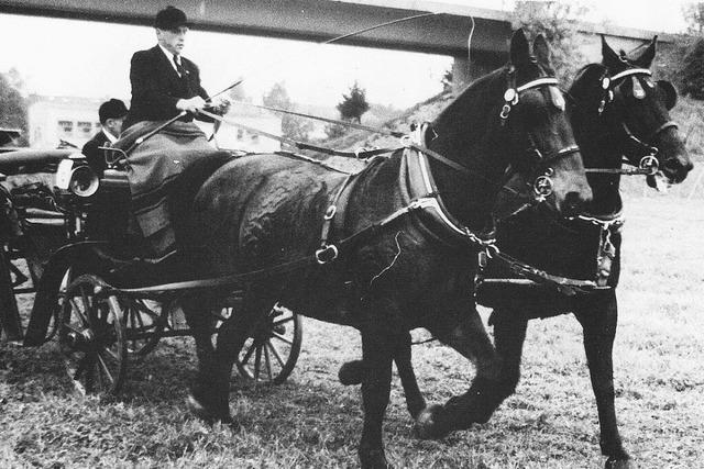 Mit viel Einsatz in die Zukunft galoppiert: 100 Jahre Reitverein Ichenheim