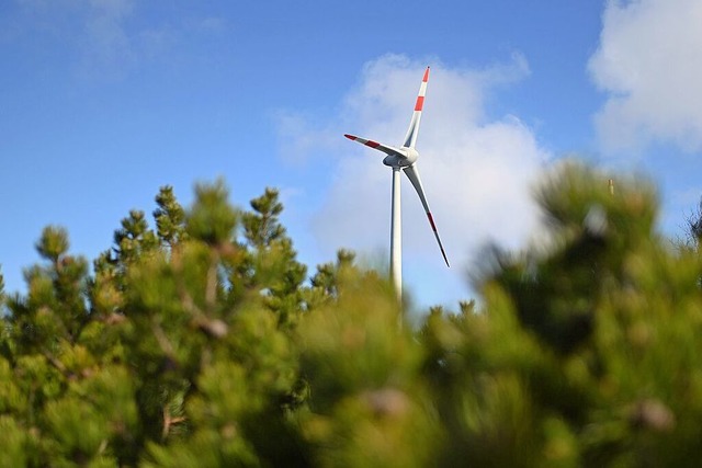 Den Ahaberg in Schluchsee halten Gemeinderte fr zu klein fr groe Windrder.  | Foto: Uli Deck (dpa)