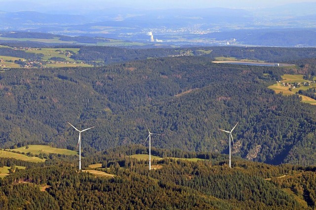 Windrder stehen im Wehratal aktuell nur auf dem Glaserkopf in Hasel.  | Foto: Erich Meyer