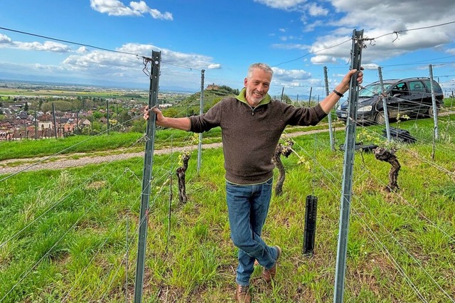 Staufens Winzer Michael Wiesler in sei... wachsen, die genau 70 Jahre alt sind.  | Foto: Frank Schoch