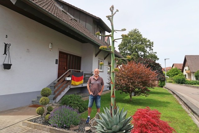 Andi Rudmann neben der seit einem Mona...nden Agave in seinem Merdinger Garten.  | Foto: Christine Weirich