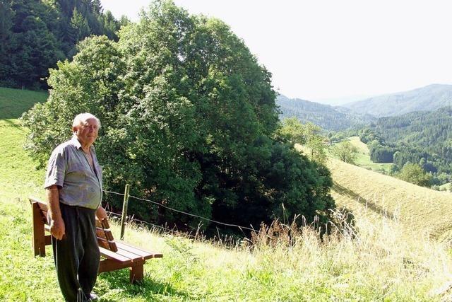 Ein Lieblingsweg mit zwei Lieblingsruhebnken bei Raich-Hohenegg