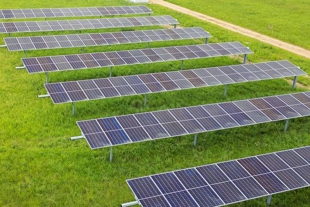 Auf einem Merdinger Feld wird geforscht, wie man mit Photovoltaik die Kraft der Sonne besser anzapfen kann