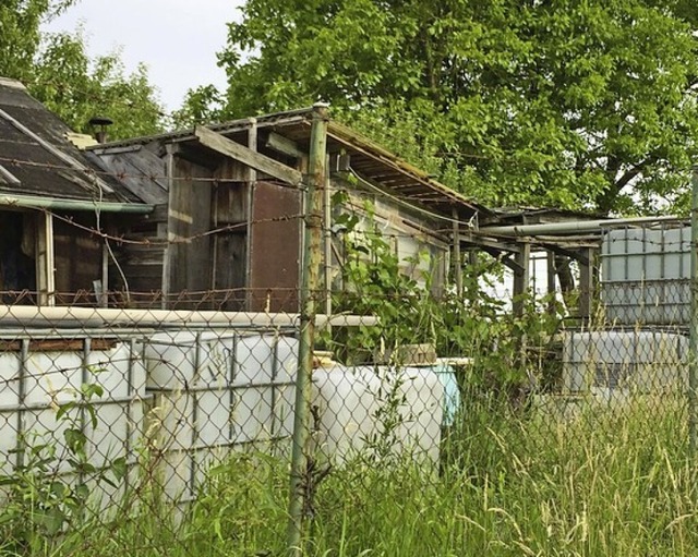 Ungenehmigte Htten im Auenbereich mssen rckgebaut werden.  | Foto: Stadt Offenburg