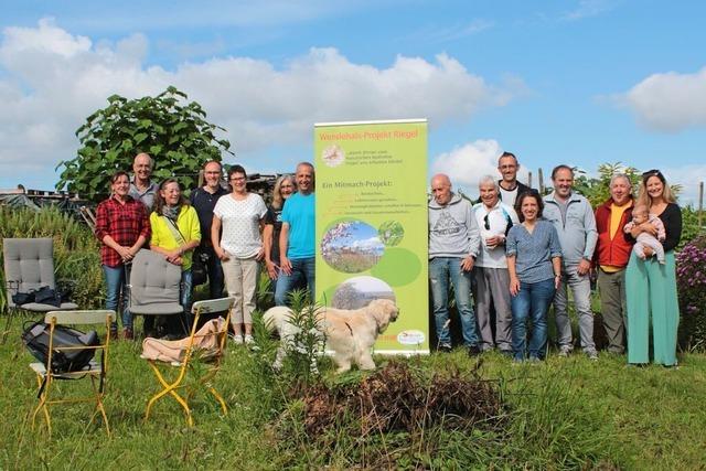 Neues Projekt in Riegel: Mehr Lebensraum fr den Wendehals