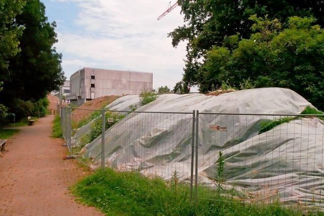 Hgel mit Erdaushub in Grenzach-Wyhlen sind laut der Baufirma unbedenklich