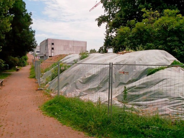 Stattliche Hgel mit Erdaushub auf dem...latz und hinter dem Haus der Begegnung  | Foto: Heinz und Monika Vollmar