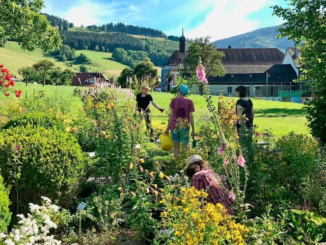 Im Schatten des Klosters ist in Oberri...d entstanden &#8211; der Krutergarten  | Foto: Michael Drfler