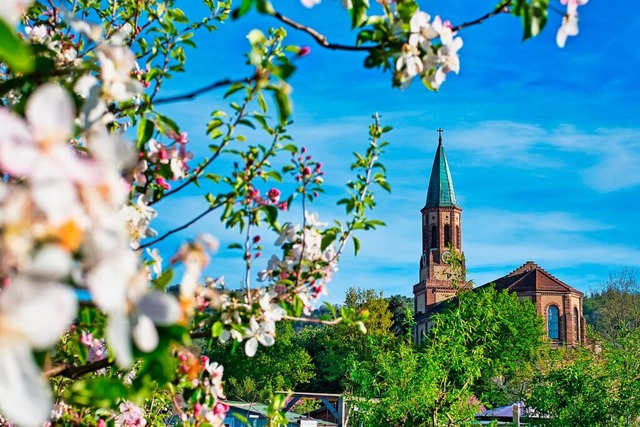 Apfelblte in Freiburg-St. Georgen  | Foto: Klaus Funke