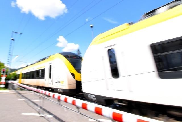 Wegen Brcken-Kontrollen fallen Hllentalbahn-Zge zwischen Freiburg und Villingen aus