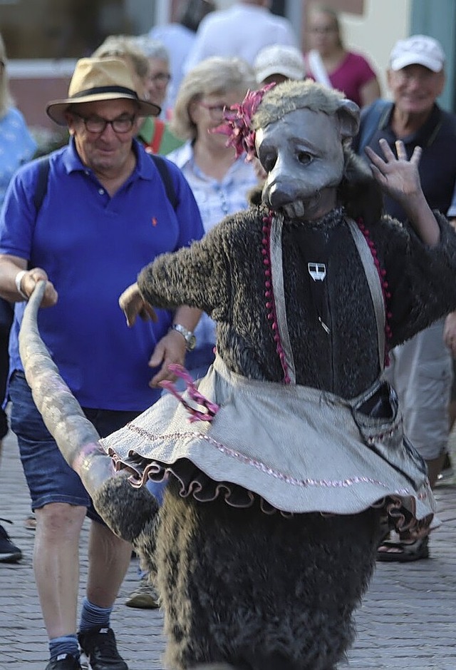 Ratten in der Stadt  | Foto: Sandra Decoux