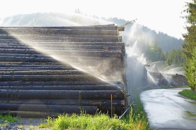 Ein Nasslager knnte in Griheim entstehen – besteht wegen der Kali-Altlast eine Gefahr frs Grundwasser?
