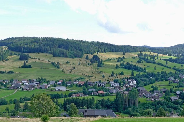 In Bernau tritt der neue Gemeinderat seine Arbeit an.  | Foto: Sebastian Barthmes