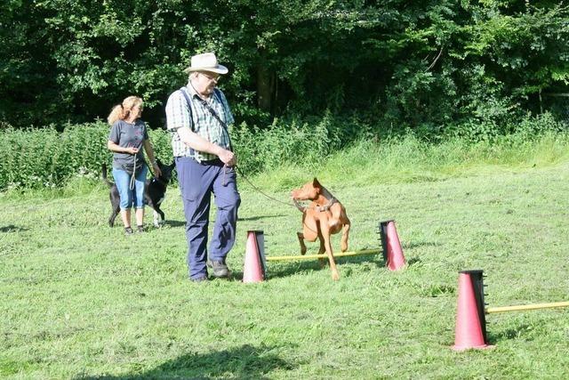 Toben, spielen und Gehorsam erlernen – das gibt es bei den Hundefreunden Bonndorf