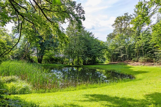 Idyllisch glnzt der Weiher im Sonnenl... von Kurgsten als Schwimmbad genutzt.  | Foto: Alexandra Gnzschel