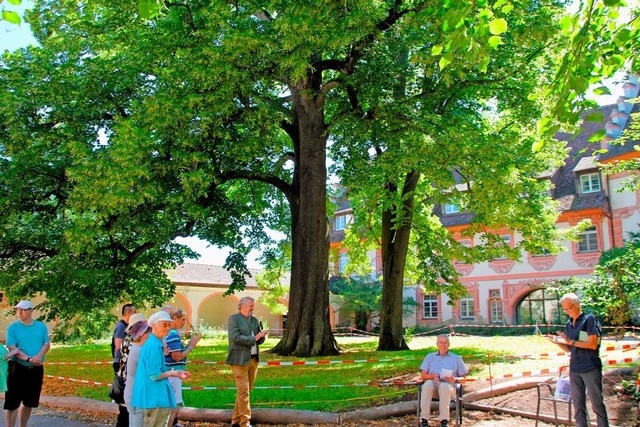 Gute Aussichten im Malteserschloss: Im...esuchern die Arbeiten am Naturdenkmal.  | Foto: Sabine Model