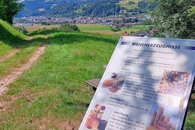 Prechtal: Naturpark-Scoutin prft erneute Zertifizierung zur Qualittsregion