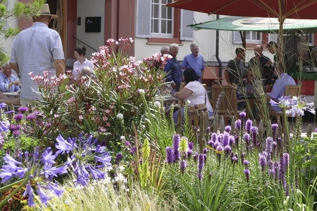 Drei Tage DIGA Gartenmesse im Schlosspark von Beuggen in Rheinfelden