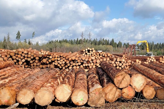 Die Firma Ante mchte ihr Holzwerk in Rtenbach von 15 auf 40 Hektar vergrern.  | Foto: Stefan Mertlik