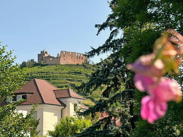 Mitte der Woche war noch der gewohnte Blick auf die Burg mglich.  | Foto: Frank Schoch