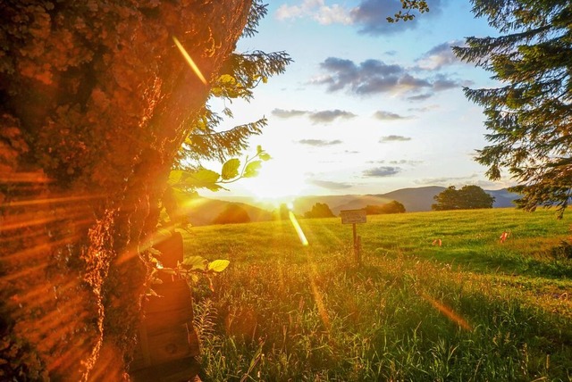 Sonnenaufgang auf dem Schauinsland ber Hofsgrund  | Foto: Thomas Eckerle