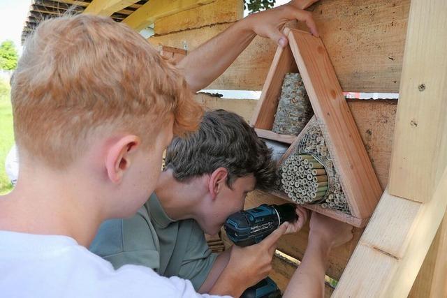 Viel Kreativitt ist bei den Projekttagen in Lffingen gefragt – etwa beim Bau eines Insektenhotels