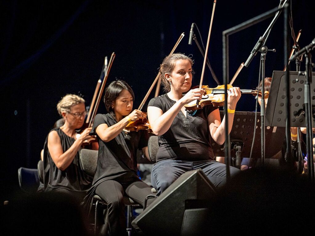 Das Publikum erwartete ein Klassikprogramm mit dem Philharmonischen Orchester Freiburg, Anna Agafia, Giora Feidman, Max Mutzke, Matthias Matzke und dem Ehrengast Gerhard Polt – alles unter der Leitung von Andr de Ridder und Enrique Ugarte.