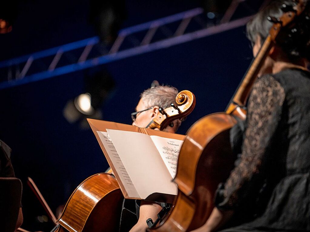 Das Publikum erwartete ein Klassikprogramm mit dem Philharmonischen Orchester Freiburg, Anna Agafia, Giora Feidman, Max Mutzke, Matthias Matzke und dem Ehrengast Gerhard Polt – alles unter der Leitung von Andr de Ridder und Enrique Ugarte.