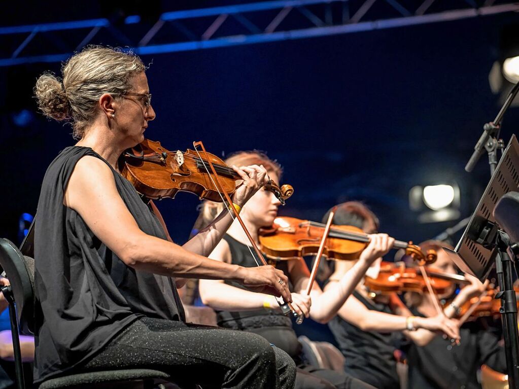 Das Publikum erwartete ein Klassikprogramm mit dem Philharmonischen Orchester Freiburg, Anna Agafia, Giora Feidman, Max Mutzke, Matthias Matzke und dem Ehrengast Gerhard Polt – alles unter der Leitung von Andr de Ridder und Enrique Ugarte.