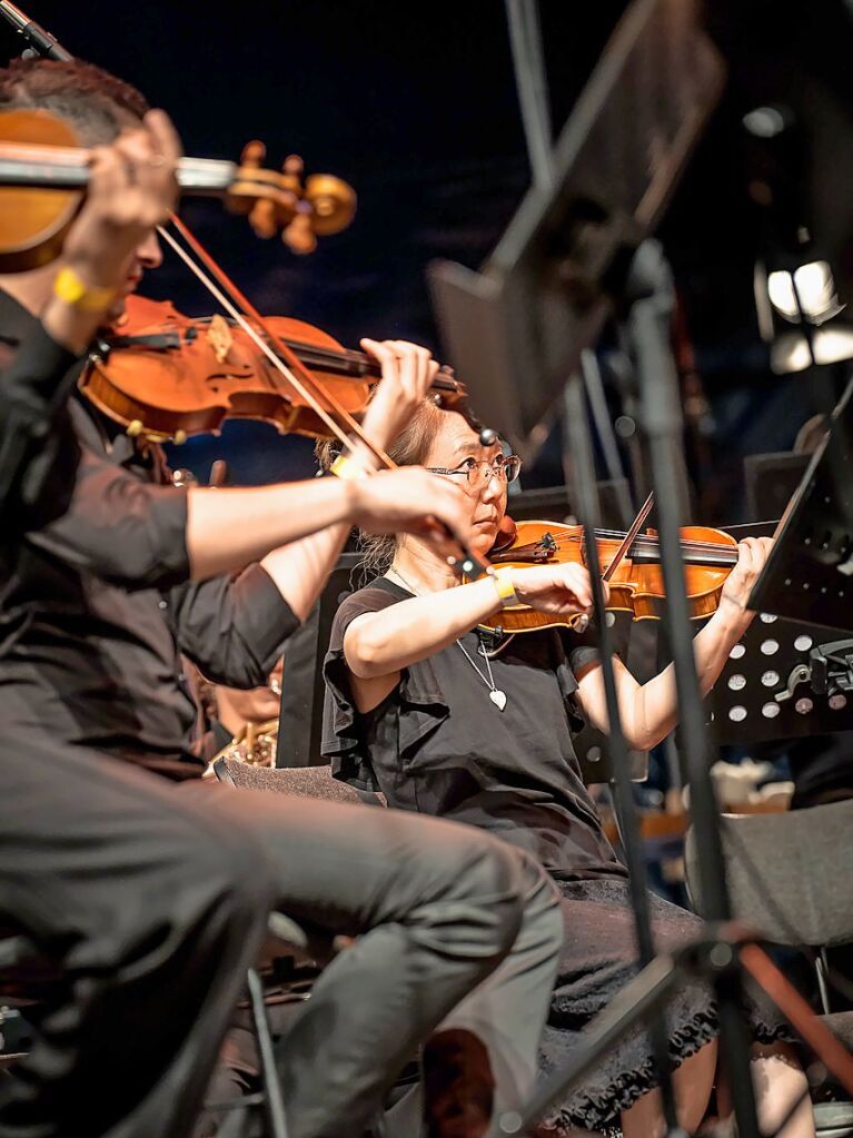 Das Publikum erwartete ein Klassikprogramm mit dem Philharmonischen Orchester Freiburg, Anna Agafia, Giora Feidman, Max Mutzke, Matthias Matzke und dem Ehrengast Gerhard Polt – alles unter der Leitung von Andr de Ridder und Enrique Ugarte.