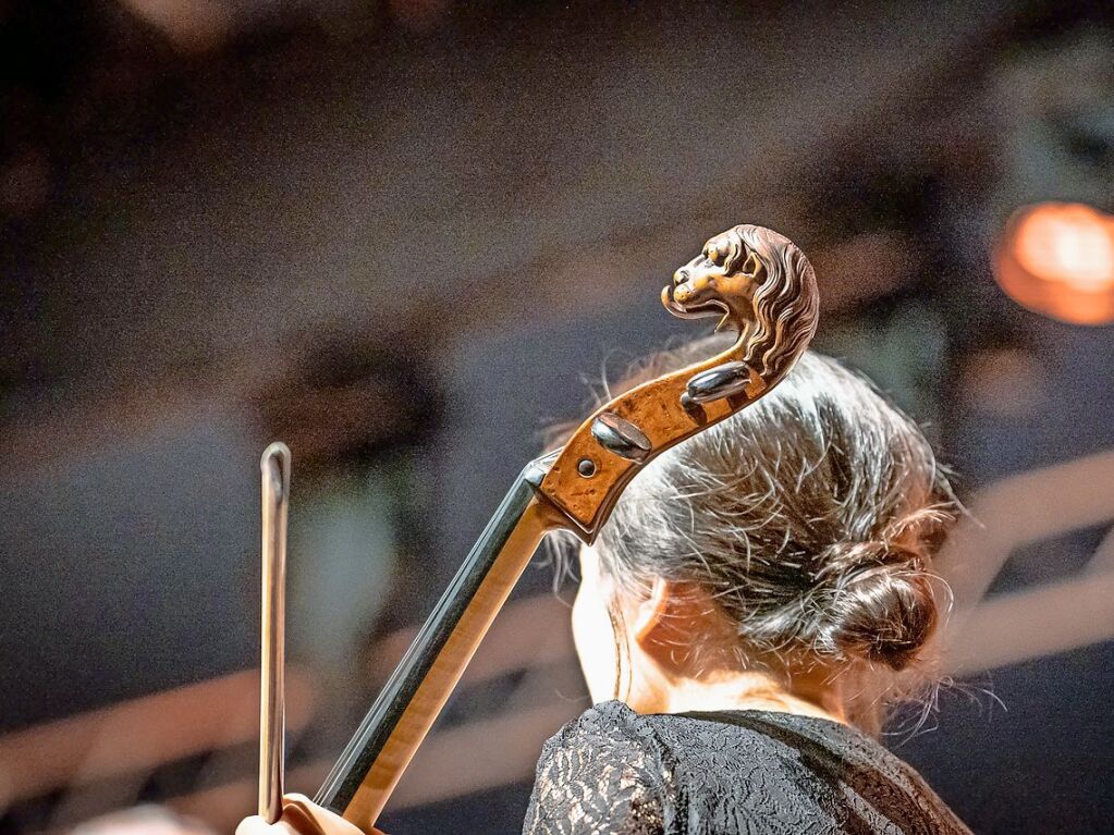 Das Publikum erwartete ein Klassikprogramm mit dem Philharmonischen Orchester Freiburg, Anna Agafia, Giora Feidman, Max Mutzke, Matthias Matzke und dem Ehrengast Gerhard Polt – alles unter der Leitung von Andr de Ridder und Enrique Ugarte.