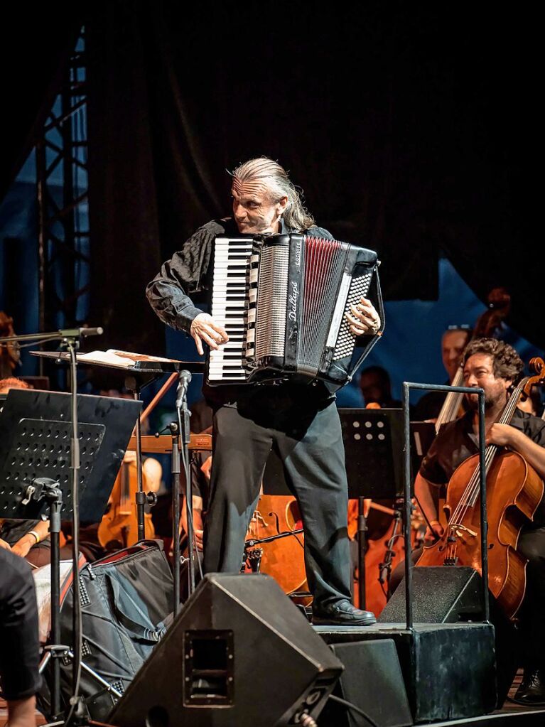 Das Publikum erwartete ein Klassikprogramm mit dem Philharmonischen Orchester Freiburg, Anna Agafia, Giora Feidman, Max Mutzke, Matthias Matzke und dem Ehrengast Gerhard Polt – alles unter der Leitung von Andr de Ridder und Enrique Ugarte.