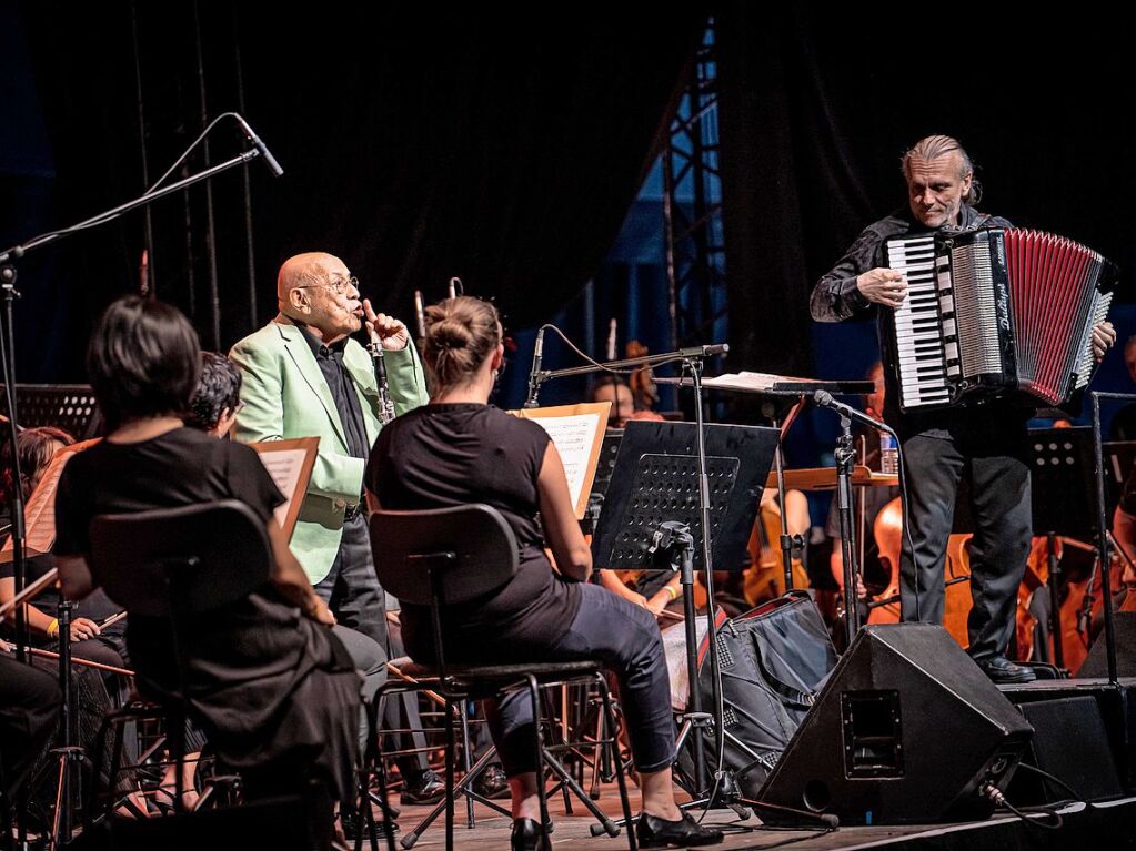 Das Publikum erwartete ein Klassikprogramm mit dem Philharmonischen Orchester Freiburg, Anna Agafia, Giora Feidman, Max Mutzke, Matthias Matzke und dem Ehrengast Gerhard Polt – alles unter der Leitung von Andr de Ridder und Enrique Ugarte.