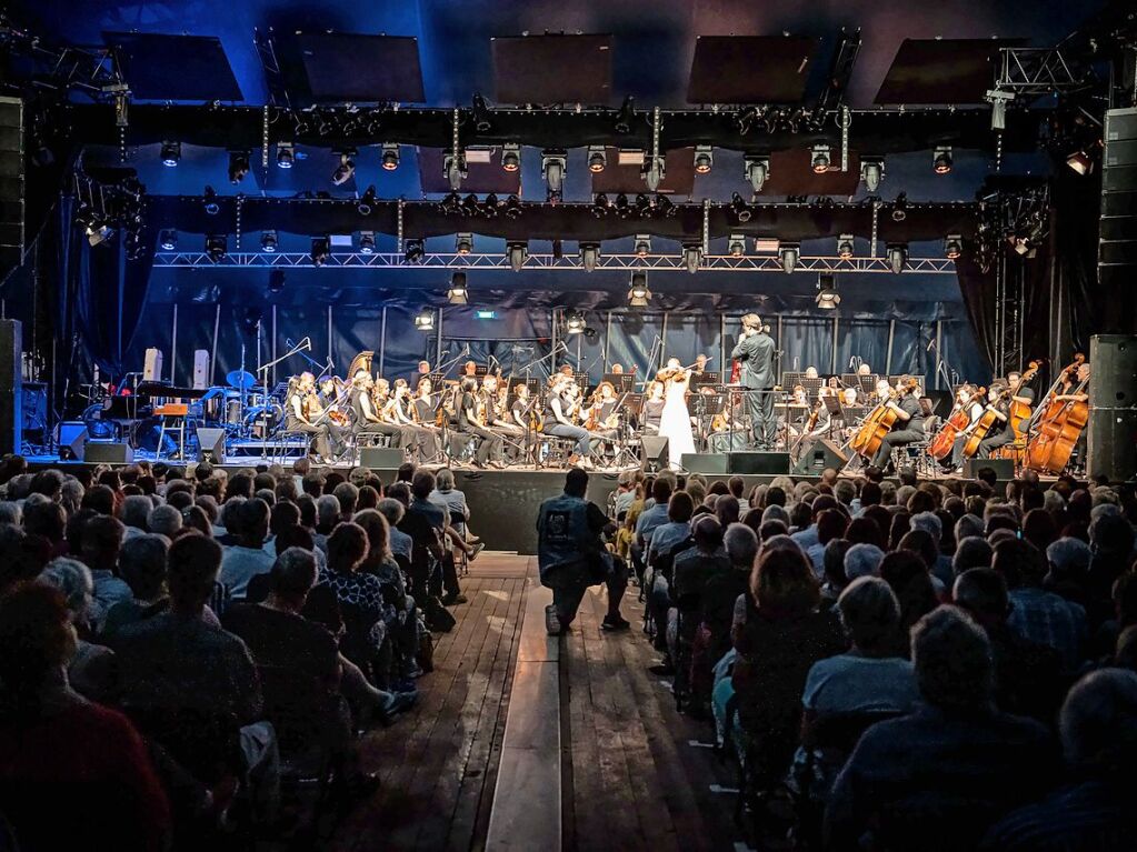 Das Publikum erwartete ein Klassikprogramm mit dem Philharmonischen Orchester Freiburg, Anna Agafia, Giora Feidman, Max Mutzke, Matthias Matzke und dem Ehrengast Gerhard Polt – alles unter der Leitung von Andr de Ridder und Enrique Ugarte.