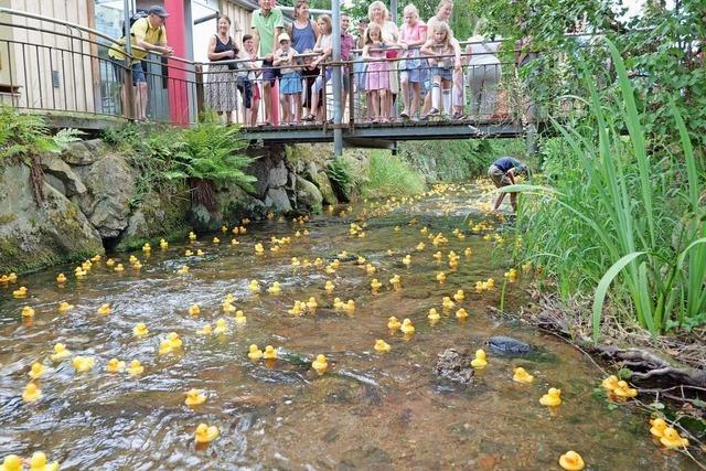 So schn was das Schlossfest in Kirchzarten