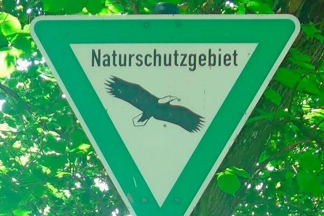 Die Parksituation im Taubergieen nahe der Rheinfhre Kappel-Grafenhausen sorgt fr Verwirrung